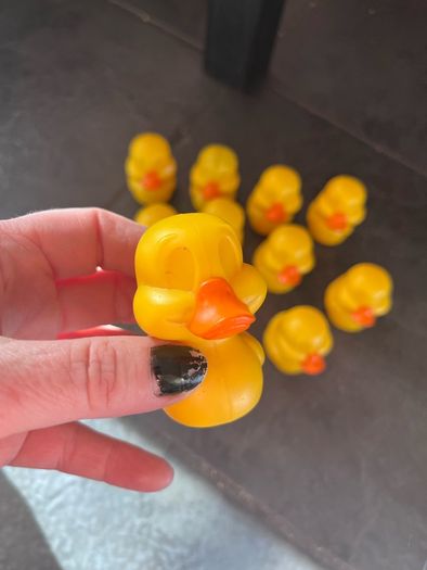 Ducks