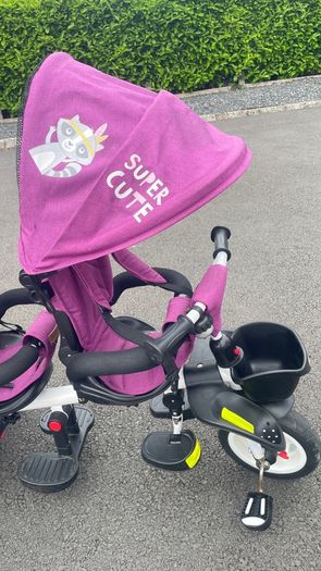 twin trike