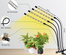 Grow lights for indoor plants
