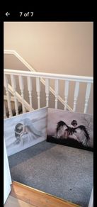 angel canvas two beautiful canvases
