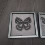 picture frames Image 2