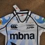 Sale Sharks Player Issue Rugby Jersey Shirt Rare Free Post Image 2