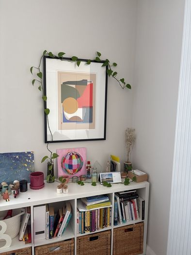 plant