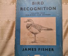 Bird Recognition Volume 1. By James Fisher. Published By Pelican Books. First Edition Paperback In Good Condition. 1947.