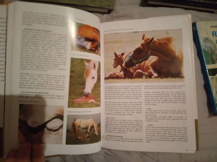Horse / Equestrian Books