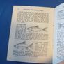 Vintage Garden Pond booklet Image 8