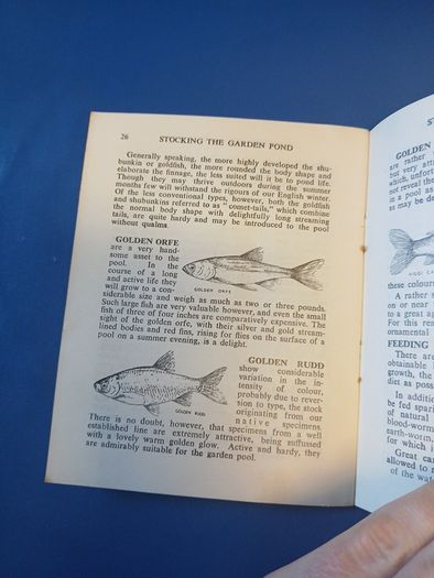 Vintage Garden Pond booklet