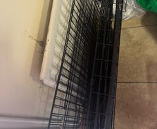 Large dog crate