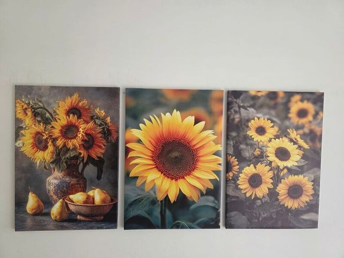 3 framed large canvas