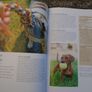 Know your Dog, Dr. David Sands, Hardback book, Non Fiction, Image 4