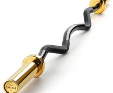 4ft Olympic EZ Curl Bar with Smooth Bushing & Bearing for 2'' Weight Plates, International Barbells for Press, Squat, Deadlift and Multiple Purposes