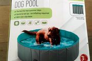 Dog Pool