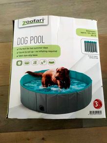 Dog Pool