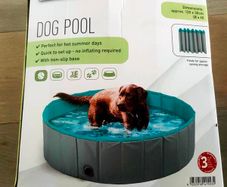 Dog Pool