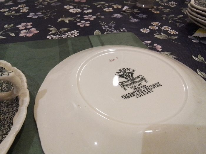 Two Mason's Ascot Soup Coup & Saucer