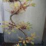 Japanese Larch Bonsai Image 4