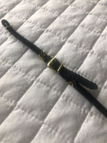 watch strap