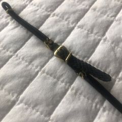 watch strap