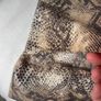 top savida animal print long tunic style top size 12 Image 5