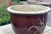 Wide garden pot