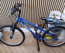 Edgar Expert bike