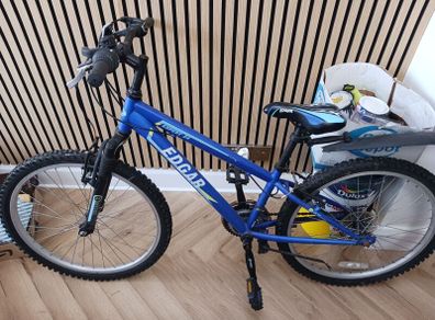 Edgar Expert bike