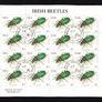 2003 Ireland Irish Beetles (41c Ladybird, 50c Leaf Beetle, 57c Great Diving Beetle, E1Green Tiger Beetle) Commemorative Stamp Sheetlet Plate 1A1A1A1A Fine CDS Used with Dublin cancel of 1st April 2003 (First day of issued) on envelope extract Image 5
