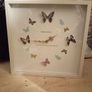 Girls Bedroom Decor Image 3