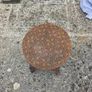 stool Image 3
