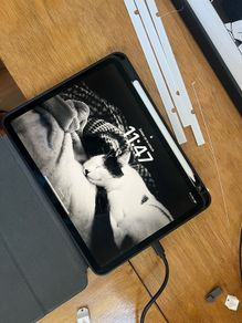 iPad Pro 11 inches (2018) with Apple Pencil - 64GB