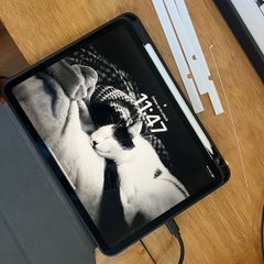iPad Pro 11 inches (2018) with Apple Pencil - 64GB