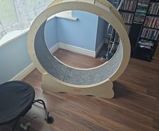 cat wheel