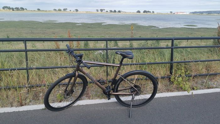 Premium BMC Alpenchallenge Two (11-Speed) + ABUS Granit XPlus Lock