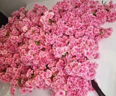 Cherry Blossom Decoration Flowers
