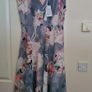 Nwt Fenn Wright Manson Floral Dress Size 12 Image 3