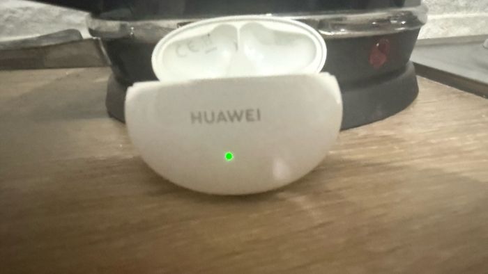 ear pods