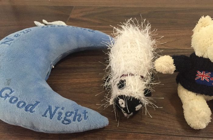 Teddies / Soft Toys / Books etc - New Zealand