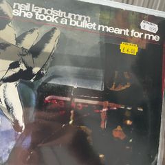 Techno/ neil landstrumm - she took the bullet meant for me 12" vinyl