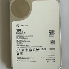 Seagate Skyhalk AI 3.5" 10 TB