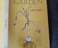 The Rock Garden/ Leo Daly/ Lilliput Press/1984