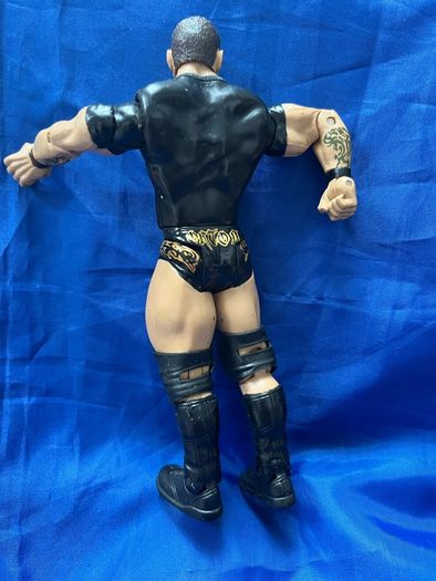 wrestler Randy Orton