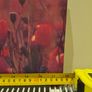 Picture of poppies canvas Image 3
