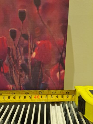 Picture of poppies canvas