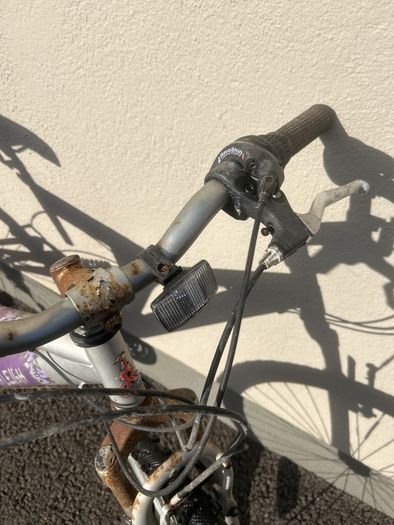 Raleigh Drift Bike