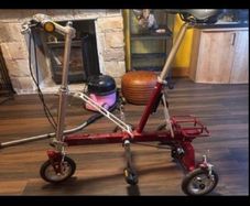adult tricycle