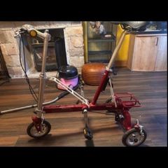 adult tricycle