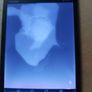LG 7 inch Tablet, Model V480, 16GB, Screen has water stain, but still very viewable, and everything works fine, youtube etc Image 7
