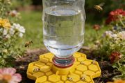 Honeycomb Bee &amp; Butterfly Watering Tool