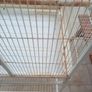 large mobile bird cage Image 4