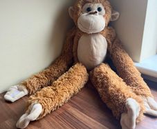Light brown cheeky hanging Monkey